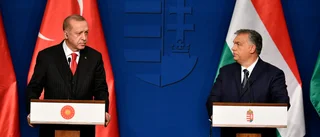 Usla politiker som ger problem för fler än svenskar