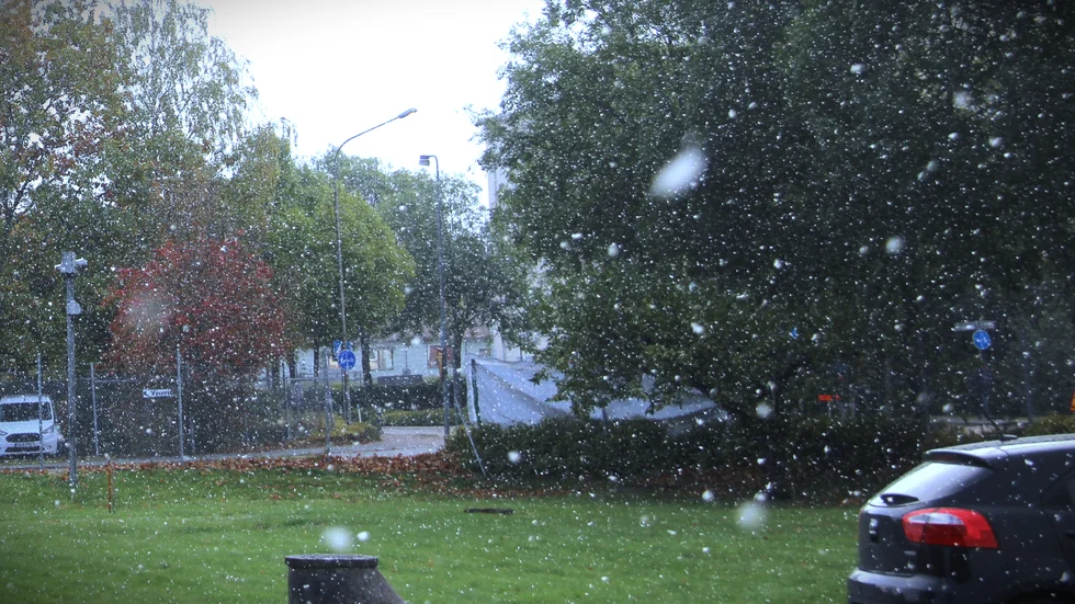 Årets första snö föll under torsdagsmorgonen.