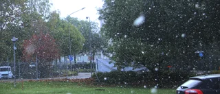 Årets första snö över Enköping – så blir vädret till helgen