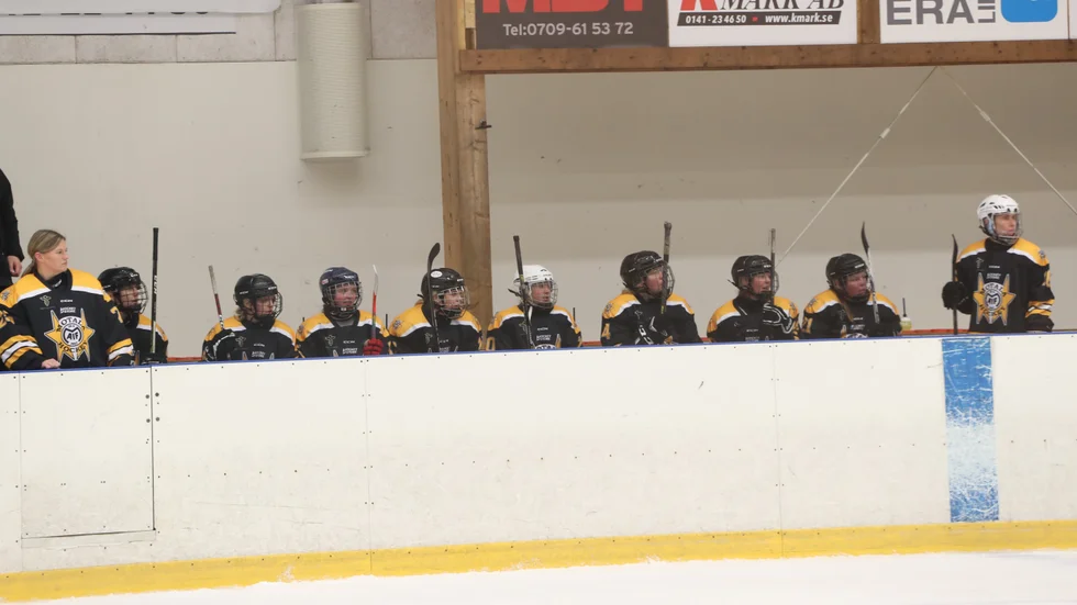 Motala AIF:s damer spelade division 3-hockey förra vintern. Men i vinter blir det ingen serie alls. Bara träningar och möjligen träningsmatcher.