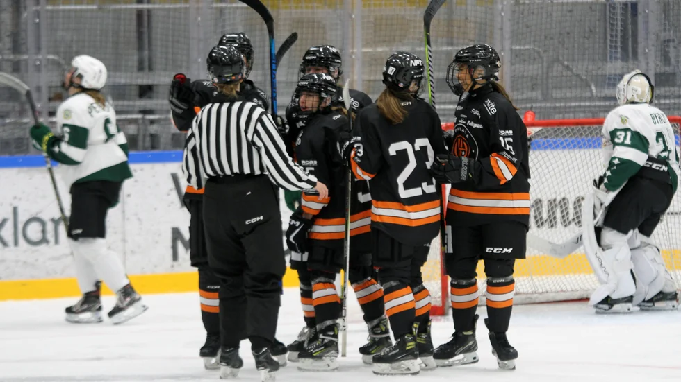 Uppsala hockey vann mot Hammarby med 2–1 under söndagskvällen.