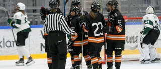 18 (!) utvisningsminuter för Uppsala hockey – vann ändå