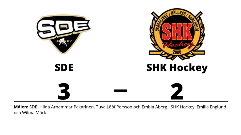 SDE HF 2 vann mot SHK Hockey Club