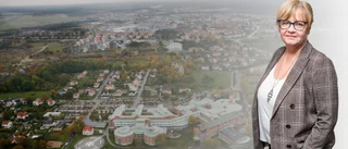 Ska Gotland vara del av Sverige måste ö-läget beaktas