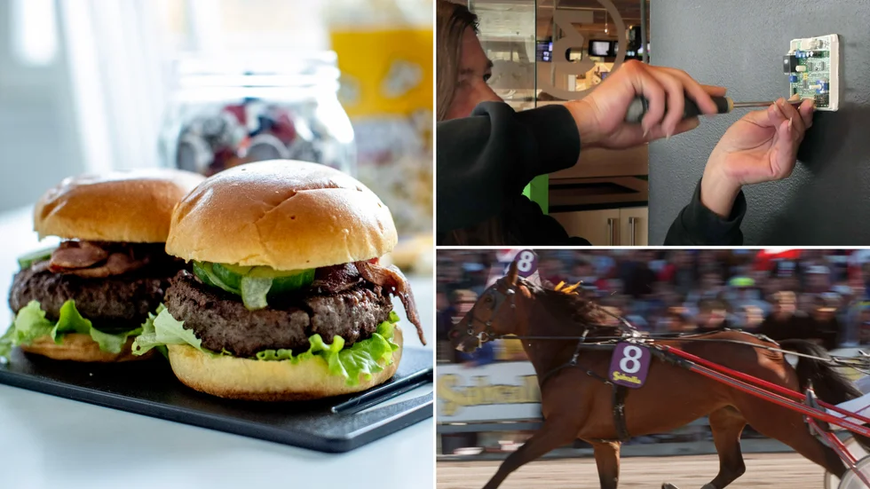 Restaurang, elinstallationer och trav. Det är några områden som nystartade bolag i Skellefteå ska verka inom.