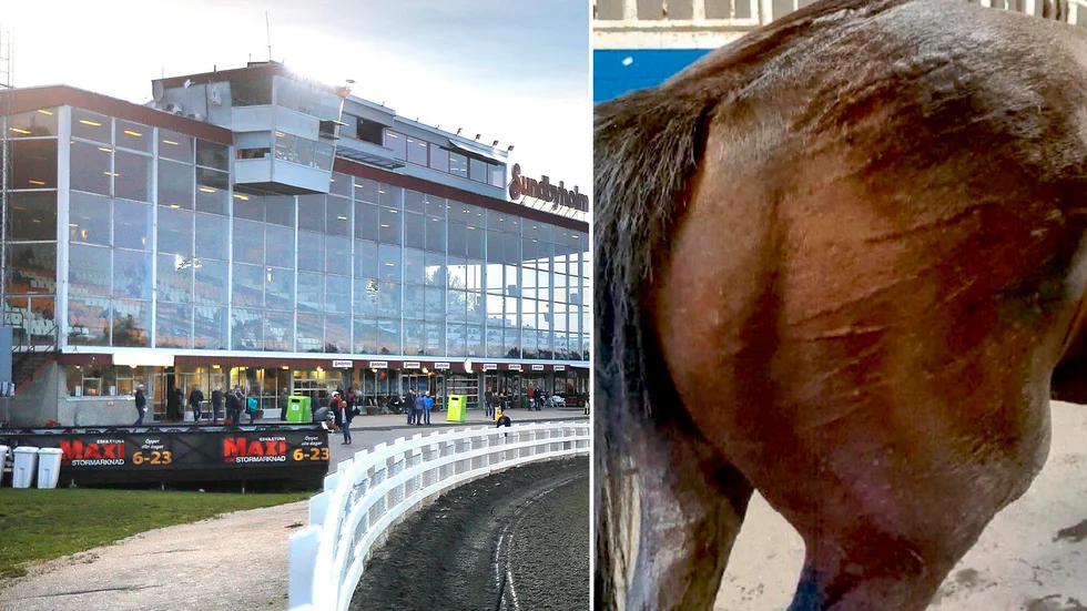 Hästen Timo Lane hade kraftiga svullnader efter ett lopp på Sundbyholms travbana i juli 2020. Händelsen ledde till att kusken Pierre Nyström åtalades och dömdes för djurplågeri. Nu har länsstyrelsen fattat beslut om att han inte längre får ha hand om hästar.