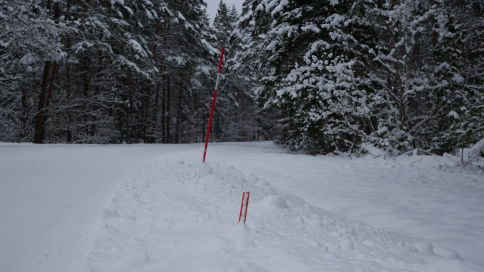 Nedsladdade snöpinnar. 