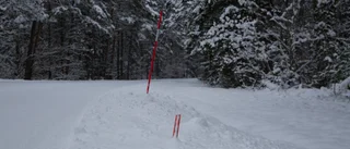 ”Denna galenskap med snöpinnar och lekfulla ungdomar”