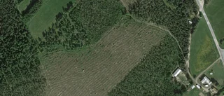 Nya ägare till﻿﻿ gård i Norrfjärden - pris: 1 850 000 kronor
