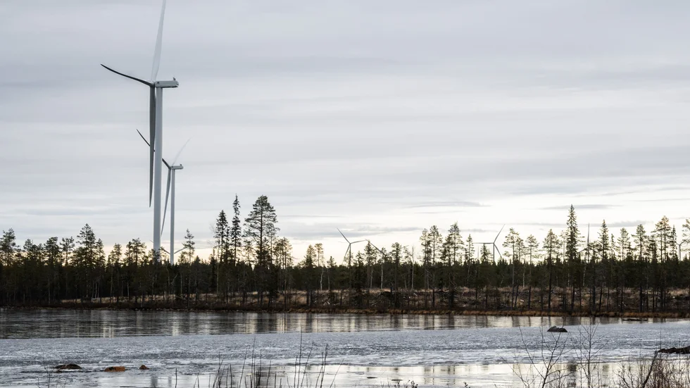 Vindkraftverken i Markbygden och andra vindkraftverk i kommunen skulle ha genererat 300 miljoner kronor per år till Piteå kommun. Nu går de till staten istället. (Arkivbild)