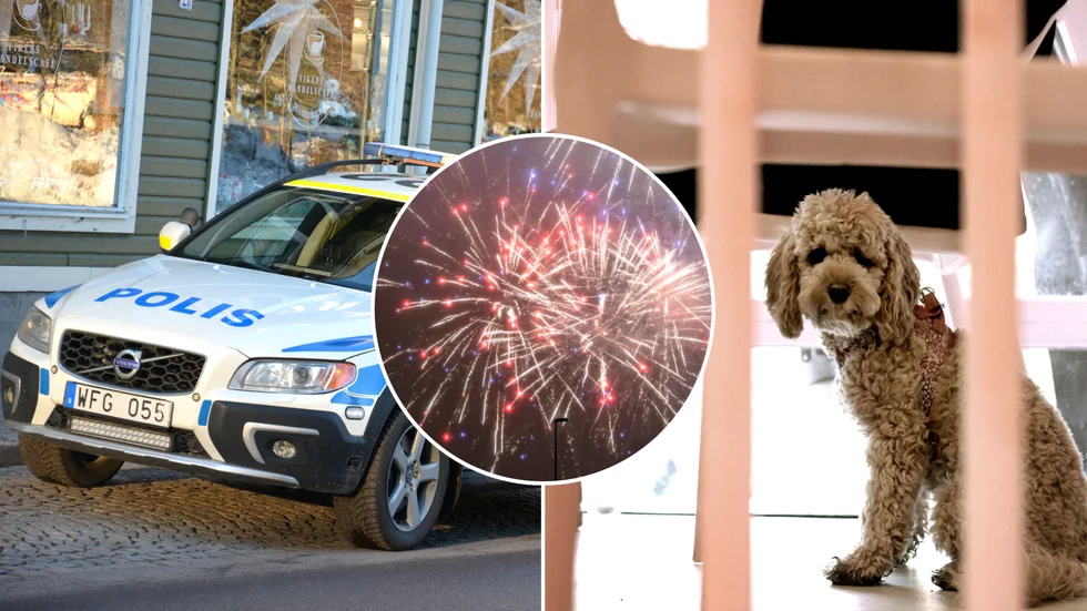 Fyrverkerier leder till merjobb för polisen men också mängder med ångestfyllda djur.