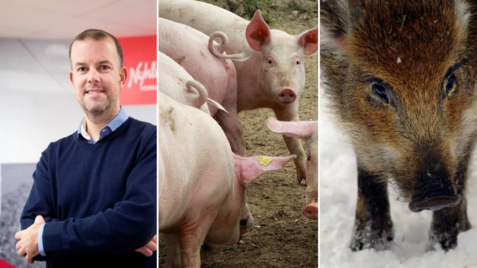 Nyhléns Hugossons vd Magnus Nilsson uppger att företaget inte påverkas av det som skett i Västmanland. "Vi litar på myndigheterna", säger han. 