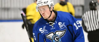 AIK-talangen räddade 39 skott – när CHC föll mot topplaget
