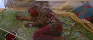 Svårt utbrott av denguefeber i Bangladesh