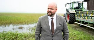 Ministerns oförstånd hotar den svenska sillen