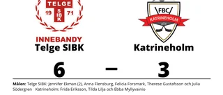 Katrineholm föll med 3-6 mot Telge SIBK