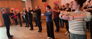 Let's dance-domaren introducerade 28 danser på en gång