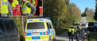 Missing woman found dead in forest clearing
