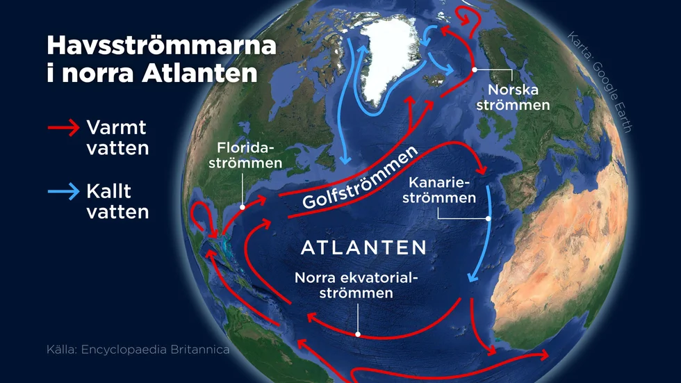 Kartan visar den så kallade storskaliga cirkulationen i Atlanten, Amoc (Atlantic Meridional Overturning Circulation) där bland annat Golfströmmen ingår.