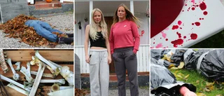 Familjen Hallberg har Västerviks läskigaste trädgård
