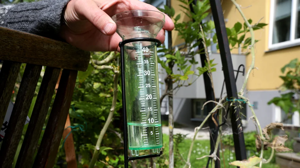 Det verkar inte bli snö på fredag. Istället väntas cirka sju millimeter regn under morgonen och förmiddagen.