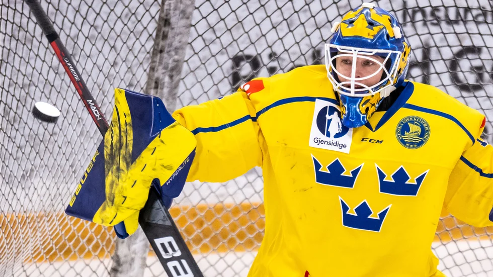 Sara Grahn är en av Sveriges mest välmeriterade målvakter på damsidan. Mellan 2007 och 2010 spelade hon i LHC-tröjan därefter har hon spelat i Brynäs och numer i Luleå. 