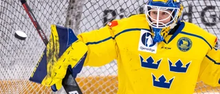Dammålvakten får chansen – i SHL-laget
