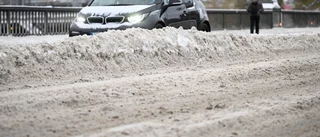 Trafikverkets nollvision verkar inte gälla på Gotland