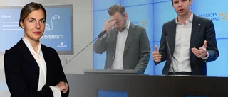"Förvånande att Centerpartiet nu hemfaller åt okynne i riksdagen"