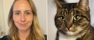Matilda vaknade med okänd katt i sängen – ryter ifrån