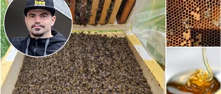 Katastrofal sommar för biodling
