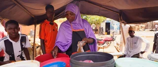 Frankrike drar in bistånd till Niger