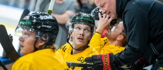 Stridh: "Nu ska vi se till att det blir liv i luckan"