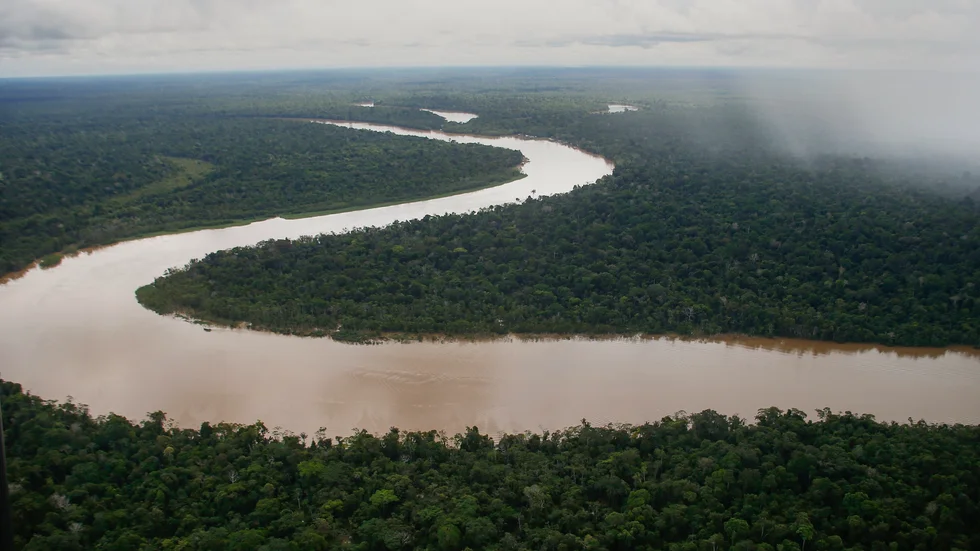 Floden Itacuaí rinner genom delstaten Amazonas i Brasilien. Varje år absorberar regnskogen ungefär 430 miljoner ton kol, vilket motsvarar åtta gånger så mycket som Sveriges utsläpp.
