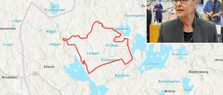 Här vill man bygga Sveriges största solcellspark på 380 hektar