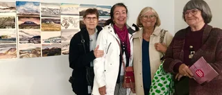 SPF Åkerbäret besökte Konsthallen i Luleå