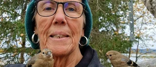 Underbara möten med fåglar i höstskogen