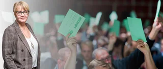 En partistämma visar vad politiken handlar om
