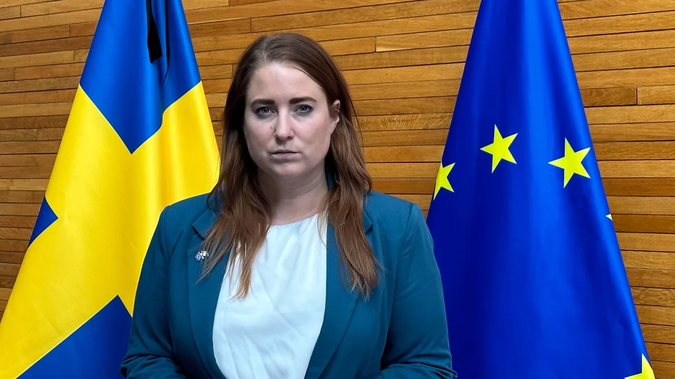 Emma Wiesner, EU-parlamentariker (C).