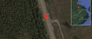 Fordon stillastående på väg 600 - helt stopp i ett körfält