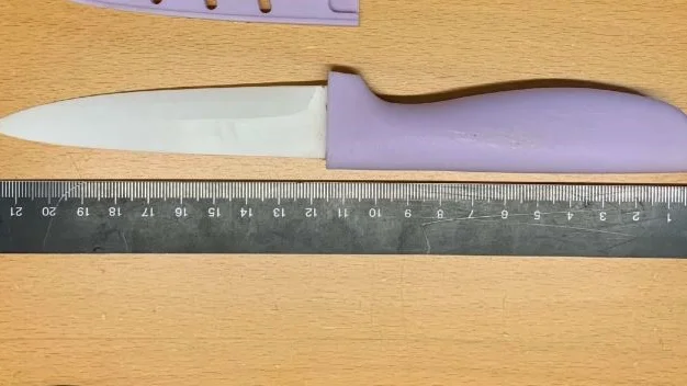 Vårdnadshavaren kom till skolan med en kniv och misstänks ha varit hotfull mot personal.