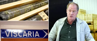 Copperstones nya vd: "Vi gör allt annat än väntar"