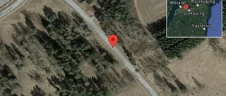Fallna träd skapar problem i trafiken