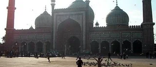24 timmar i Delhi