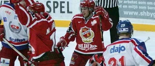 NHL-pengar bakom Almtunas plus