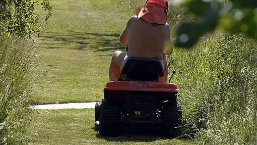 Låt någon annan klippa gräset i veckan, om du är allergisk.