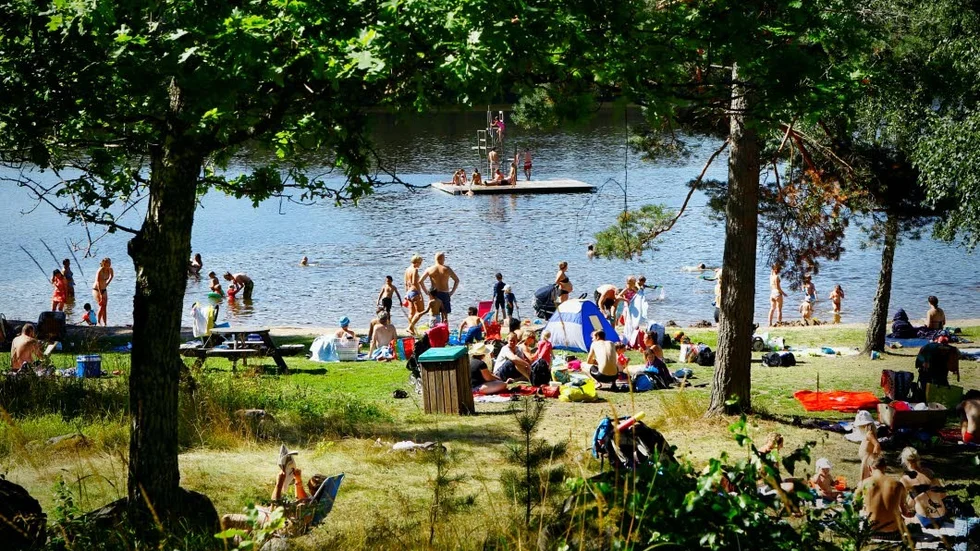 Fjällnora.