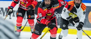 Luleå saknar avstängd forward i guldavgörandet