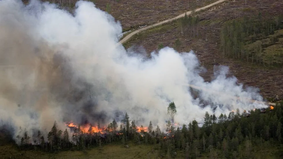 Skogsbränder härjar på många ställen i Norrbotten på fredagskvällen. Bilden visar en hyggesbränning från ett tidigare tillfälle.