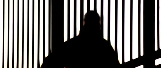 De bedyrar sin oskuld: "Vi åkte hem för att inte bli inblandade"